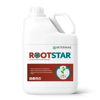 Rootstar-EN-1536x1536